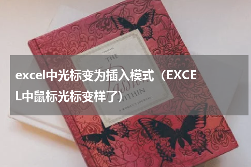 excel中光标变为插入模式（EXCEL中鼠标光标变样了）