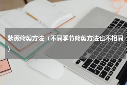 紫薇修剪方法（不同季节修剪方法也不相同）
