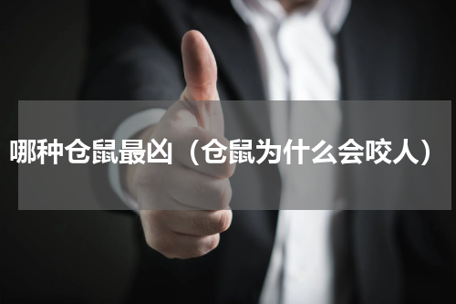 哪种仓鼠最凶（仓鼠为什么会咬人）