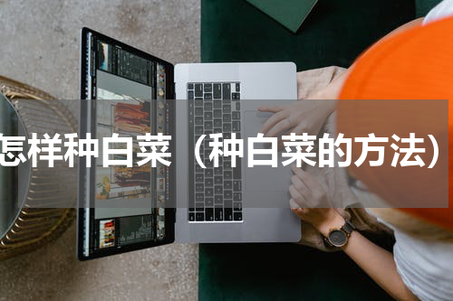 怎样种白菜（种白菜的方法）