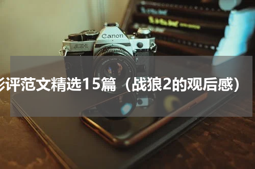 影评范文精选15篇（战狼2的观后感）