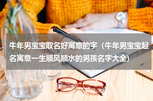 牛年男宝宝取名好寓意的字（牛年男宝宝起名寓意一生顺风顺水的男孩名字大全）