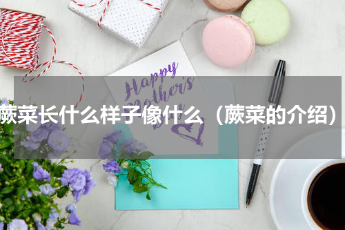 蕨菜长什么样子像什么（蕨菜的介绍）
