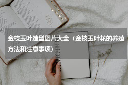 金枝玉叶造型图片大全（金枝玉叶花的养殖方法和注意事项）
