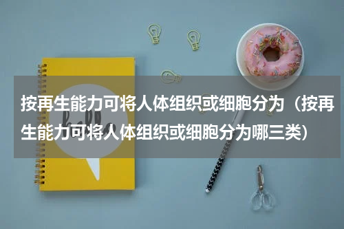 按再生能力可将人体组织或细胞分为（按再生能力可将人体组织或细胞分为哪三类）