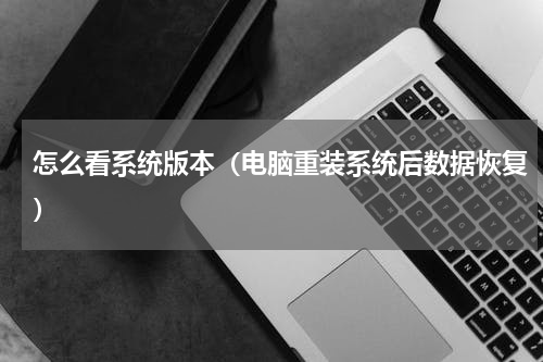 怎么看系统版本（电脑重装系统后数据恢复）