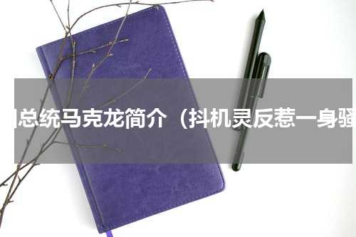 法国总统马克龙简介（抖机灵反惹一身骚）
