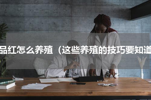 一品红怎么养殖（这些养殖的技巧要知道）