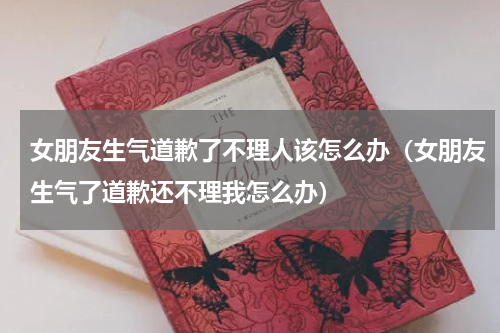 女朋友生气道歉了不理人该怎么办（女朋友生气了道歉还不理我怎么办）