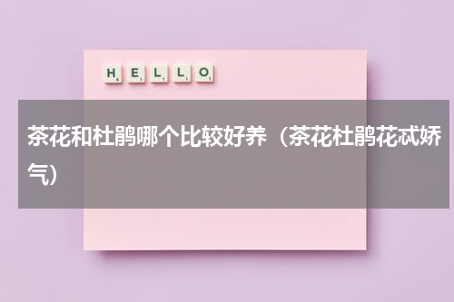 茶花和杜鹃哪个比较好养（茶花杜鹃花忒娇气）