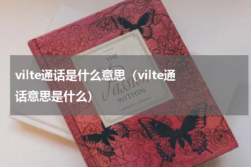 vilte通话是什么意思（vilte通话意思是什么）