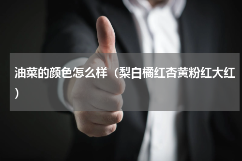 油菜的颜色怎么样（梨白橘红杏黄粉红大红）