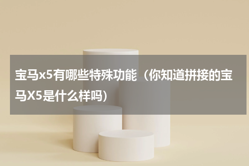 宝马x5有哪些特殊功能（你知道拼接的宝马X5是什么样吗）
