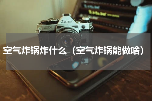 空气炸锅炸什么（空气炸锅能做啥）