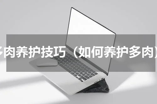 多肉养护技巧（如何养护多肉）