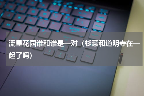 流星花园谁和谁是一对（杉菜和道明寺在一起了吗）