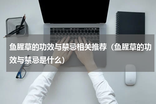 鱼腥草的功效与禁忌相关推荐（鱼腥草的功效与禁忌是什么）