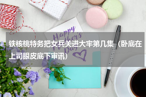 铁核桃特务把女兵关进大牢第几集（卧底在上司眼皮底下审讯）