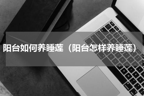 阳台如何养睡莲（阳台怎样养睡莲）