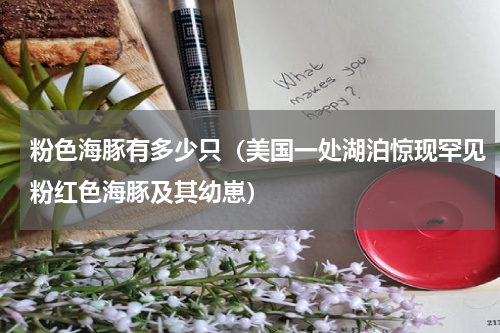 粉色海豚有多少只（美国一处湖泊惊现罕见粉红色海豚及其幼崽）