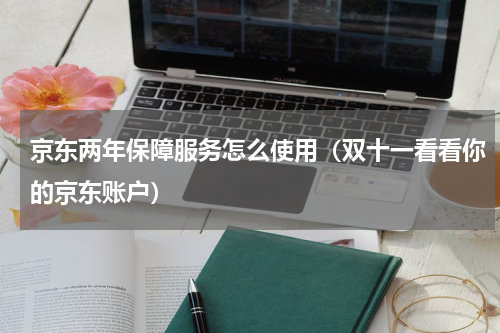 京东两年保障服务怎么使用（双十一看看你的京东账户）