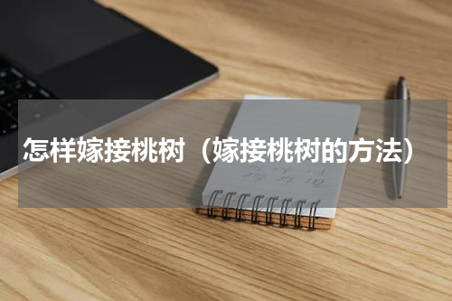 怎样嫁接桃树（嫁接桃树的方法）