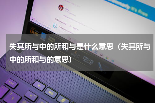 失其所与中的所和与是什么意思（失其所与中的所和与的意思）