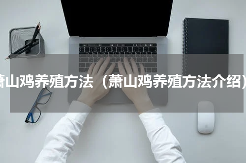 萧山鸡养殖方法（萧山鸡养殖方法介绍）