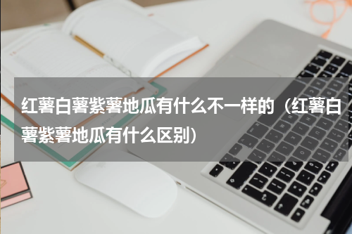 红薯白薯紫薯地瓜有什么不一样的（红薯白薯紫薯地瓜有什么区别）