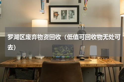 罗湖区废弃物资回收（低值可回收物无处可去）
