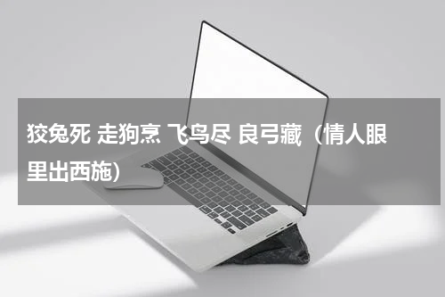 狡兔死 走狗烹 飞鸟尽 良弓藏（情人眼里出西施）