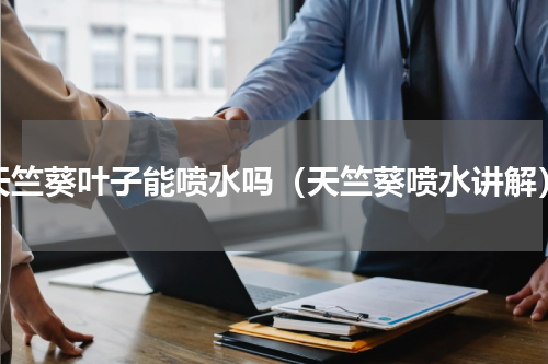 天竺葵叶子能喷水吗（天竺葵喷水讲解）