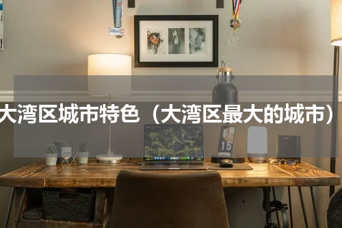 大湾区城市特色（大湾区最大的城市）