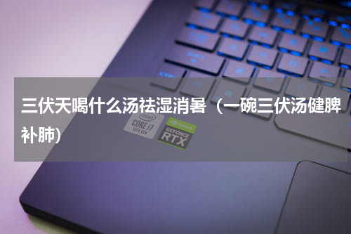 三伏天喝什么汤祛湿消暑（一碗三伏汤健脾补肺）