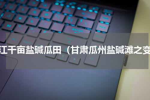 浙江千亩盐碱瓜田（甘肃瓜州盐碱滩之变）