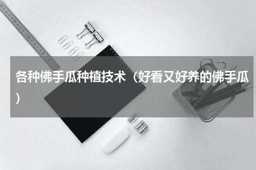 各种佛手瓜种植技术（好看又好养的佛手瓜）