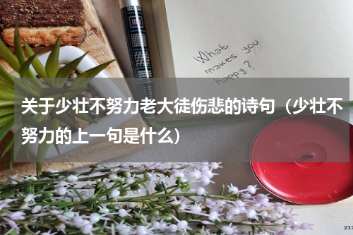 关于少壮不努力老大徒伤悲的诗句（少壮不努力的上一句是什么）