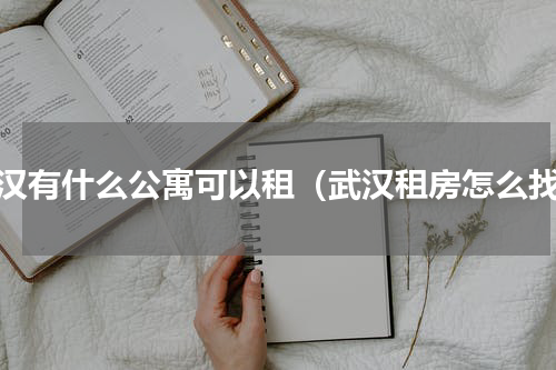 武汉有什么公寓可以租（武汉租房怎么找）