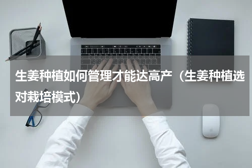 生姜种植如何管理才能达高产（生姜种植选对栽培模式）
