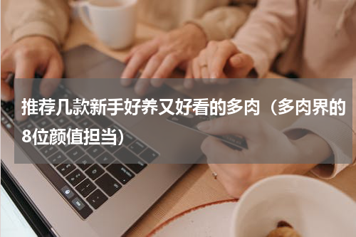 推荐几款新手好养又好看的多肉（多肉界的8位颜值担当）