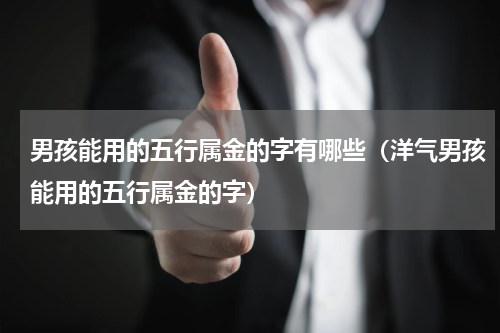 男孩能用的五行属金的字有哪些（洋气男孩能用的五行属金的字）