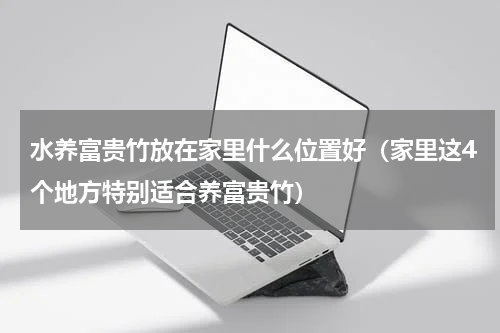 水养富贵竹放在家里什么位置好（家里这4个地方特别适合养富贵竹）