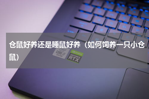 仓鼠好养还是睡鼠好养（如何饲养一只小仓鼠）