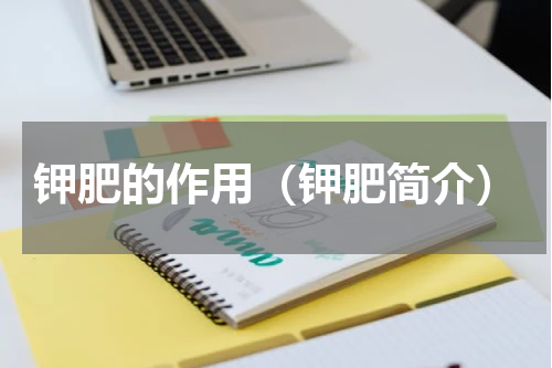 钾肥的作用（钾肥简介）