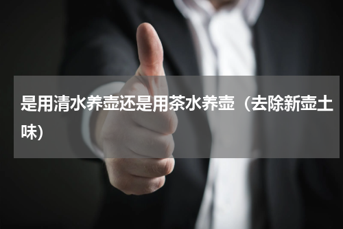 是用清水养壶还是用茶水养壶（去除新壶土味）