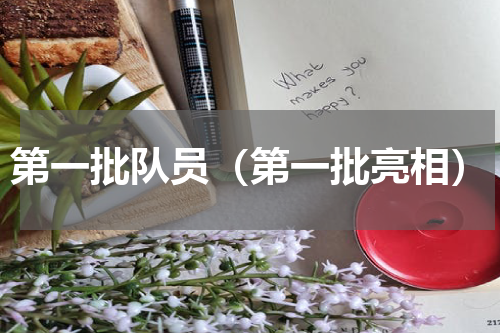 第一批队员（第一批亮相）