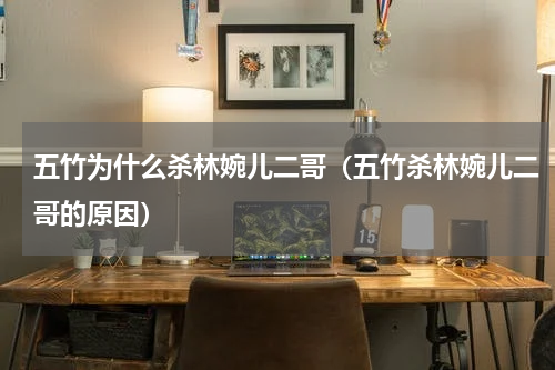 五竹为什么杀林婉儿二哥（五竹杀林婉儿二哥的原因）