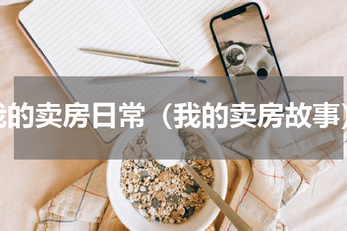 我的卖房日常（我的卖房故事）