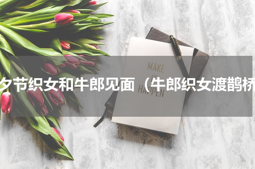 七夕节织女和牛郎见面（牛郎织女渡鹊桥）