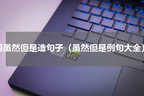 用虽然但是造句子（虽然但是例句大全）